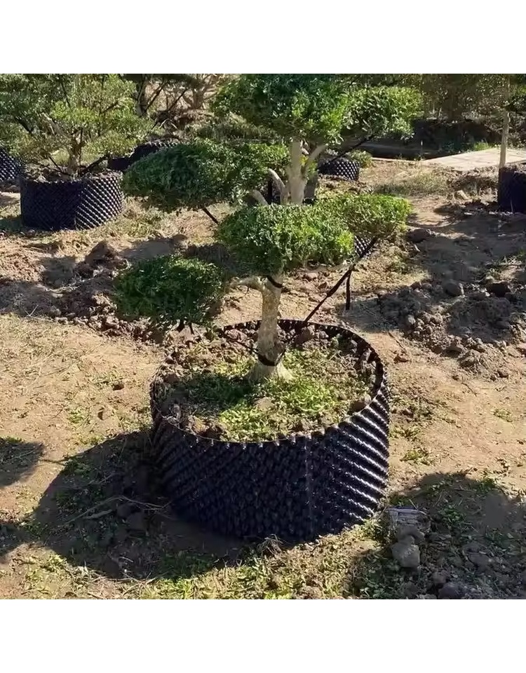 Air Pruning Plant Pots product photo 1