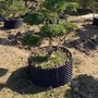 Air Pruning Plant Pots