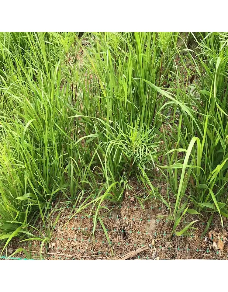 Coir Erosion Control Mats product photo 1