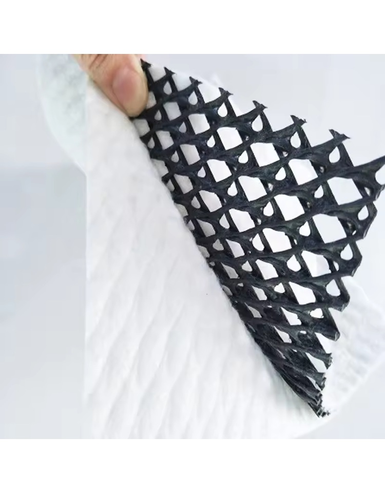 Double-Sided Composite Drainage Geonets product photo 3