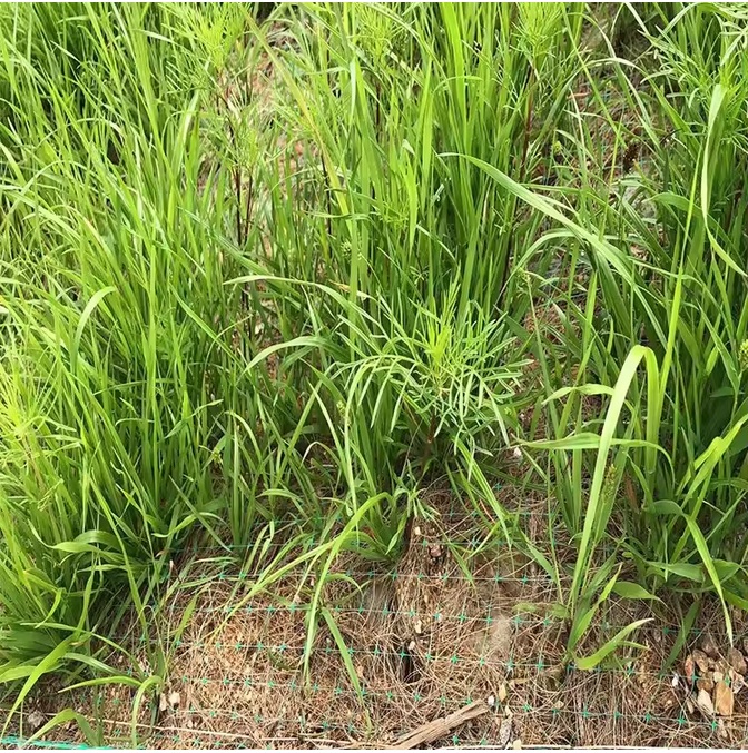 Erosion Control Mats product view 6