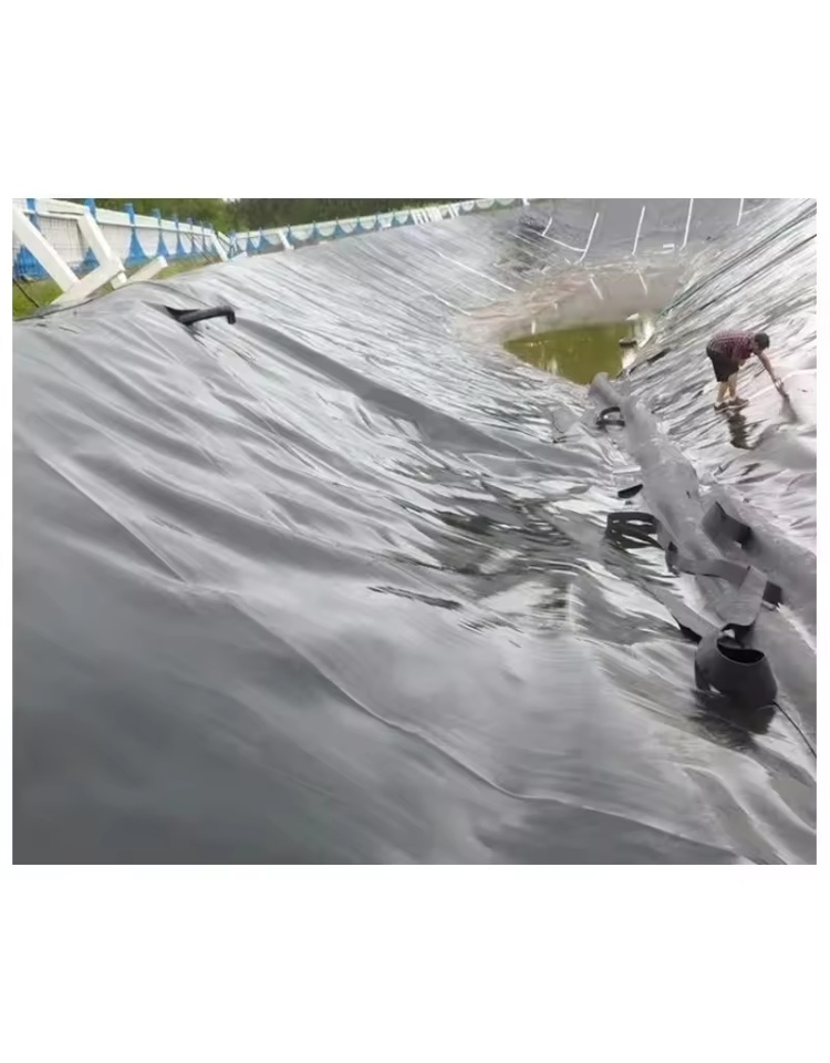 LLDPE Geomembranes