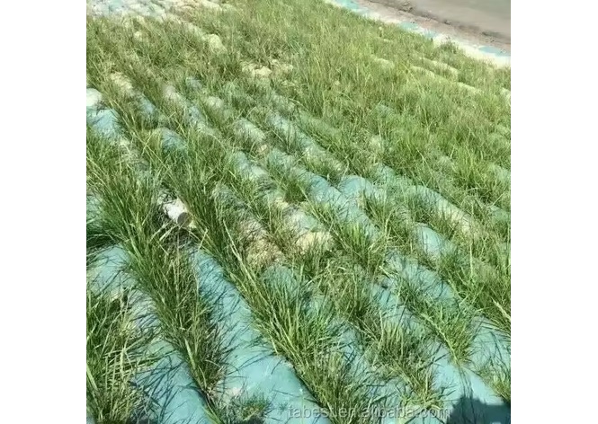 Geotextile Bags product view 1