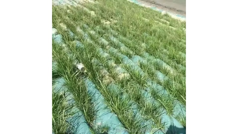 Geotextile Bags product overview