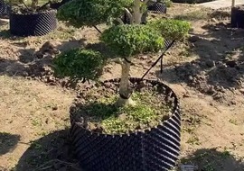 Air Pruning Plant Pots