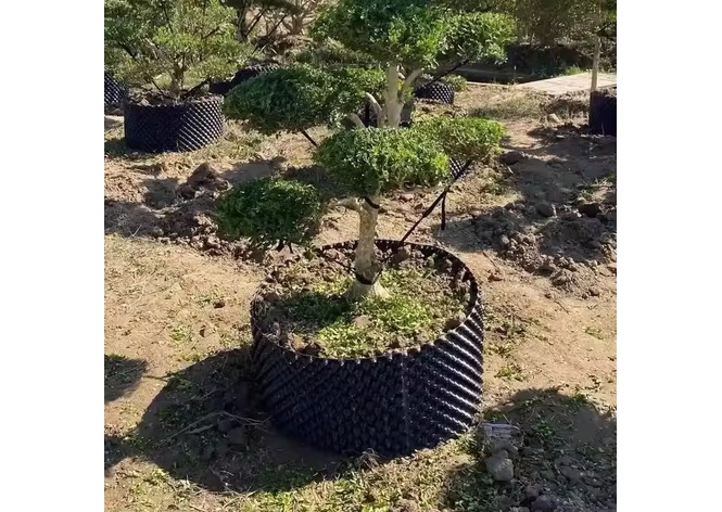 Root Control Containers product view 1