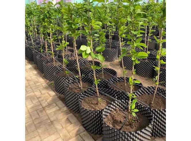 Root Control Containers product view 2