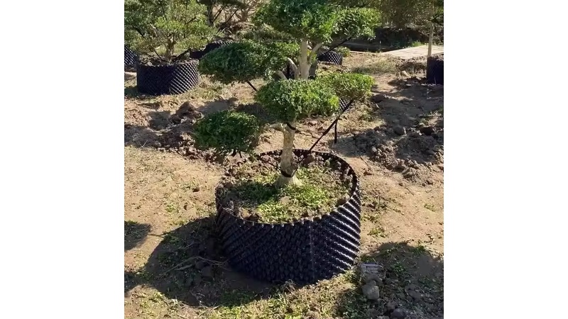 Root Control Containers product overview