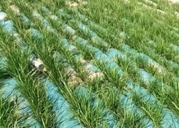 suneco-clean-home-geotextile-bags